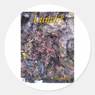 Sticker Rond Fête du ver