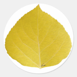 Sticker Rond Feuille d'astre jaune #5