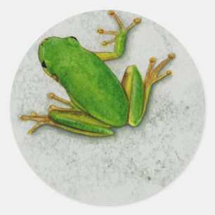 Sticker Rond Feuille d'autocollants grenouille verte