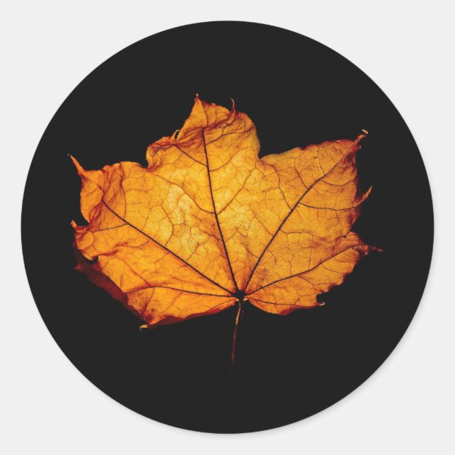 Sticker Rond Feuille d'automne d'or (Devant)