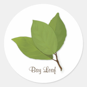 Sticker rond feuille de baie