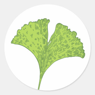 Sticker Rond Feuille de Gingko