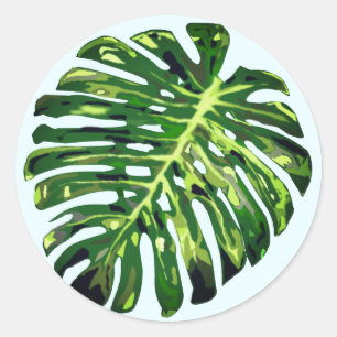 Sticker Rond Feuille de Monstère Tropicale - Exotique -