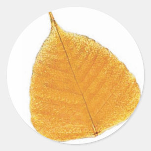 Sticker Rond Feuille d'or de la Forêt magique