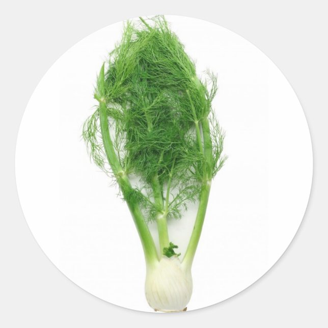 Sticker Rond Feuille et ampoule de fenouil (Devant)