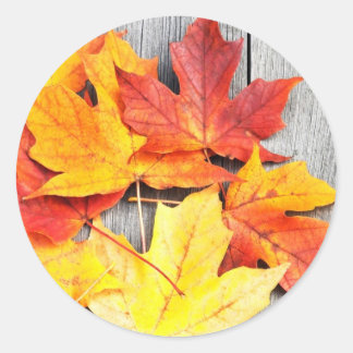 Sticker Rond Feuilles d'automne