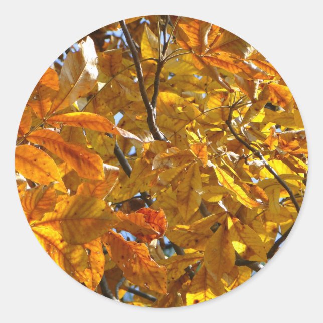 Sticker Rond Feuilles d'automne Cadeaux d'or Vêtements Objets d (Devant)