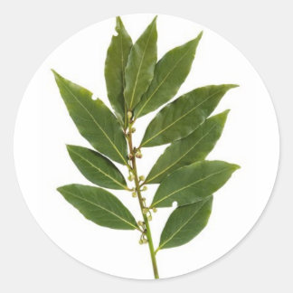 Sticker Rond Feuilles de baie
