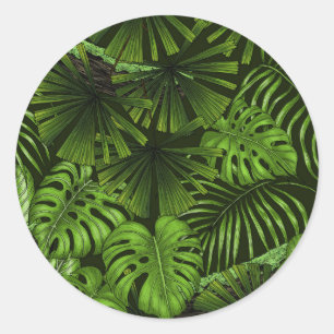 Sticker Rond Feuilles de la jungle