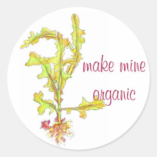 Sticker Rond Feuilles de laitue sauvage Dessin de légumes bio