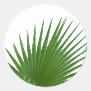 Sticker Rond Feuilles de palmiers