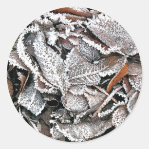 STICKER ROND FEUILLES HIVER