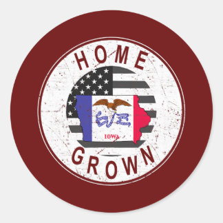 Sticker Rond Fier Amérique Drapeau d'État US Accueil Cultivé Io