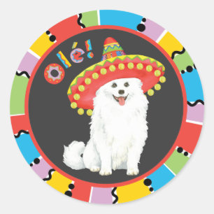 Sticker Rond Fiesta American Eskimo Chien