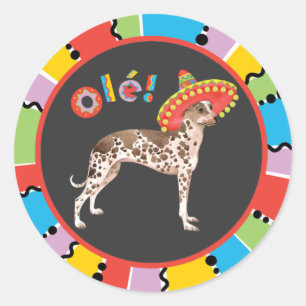 Sticker Rond Fiesta Orchidée inca péruvienne