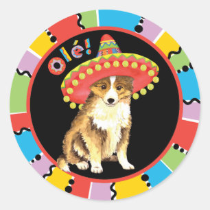 Sticker Rond Fiesta Sheltie
