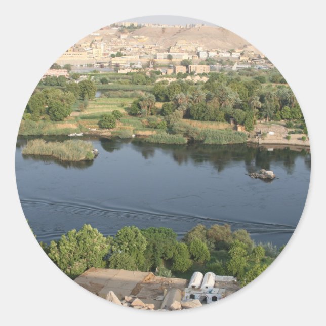 Sticker Rond fièvre de nid (Devant)