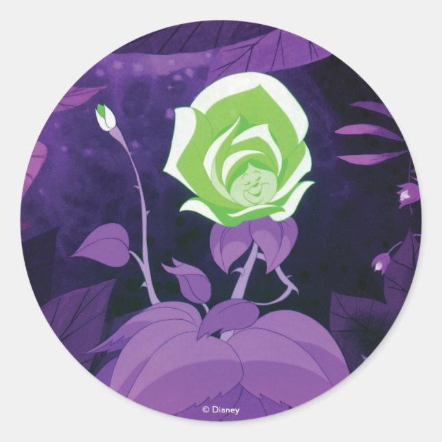 Sticker Rond Film de fleurs de jardin encore (Devant)