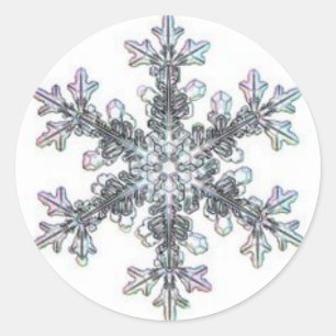 Sticker Rond Flacon de neige