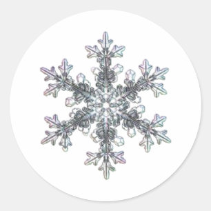 Sticker Rond Flacon de neige