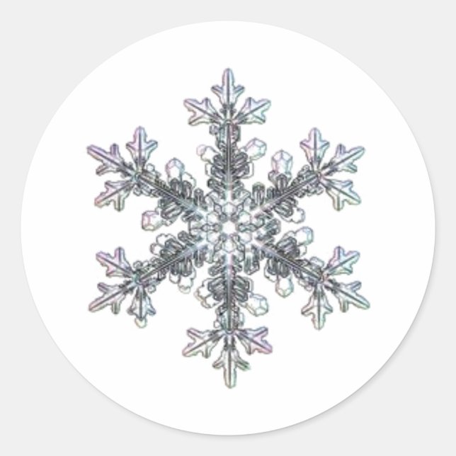 Sticker Rond Flacon de neige (Devant)