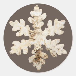 Sticker Rond Flacon de neige de Birchwood d'hiver rustique brun