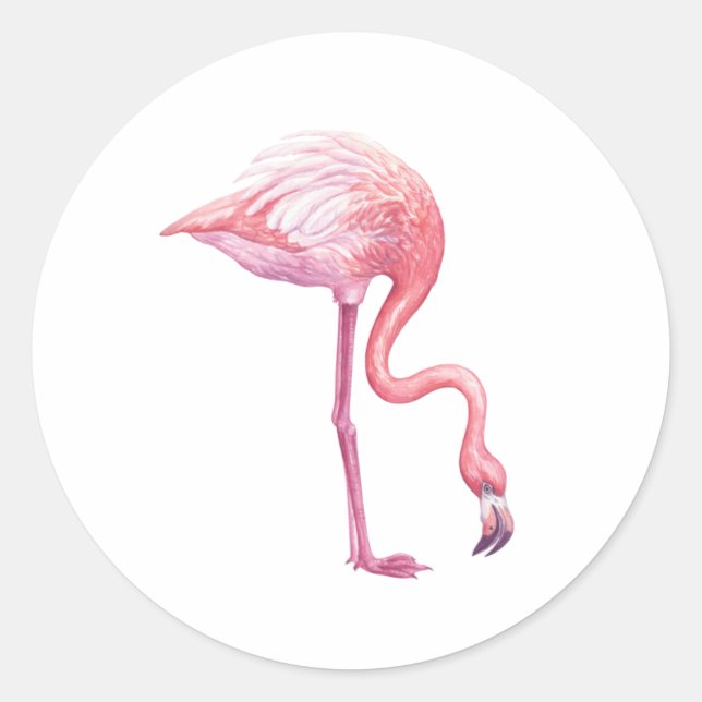 Sticker Rond Flamant rose (Devant)
