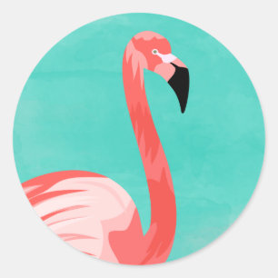 Sticker Rond Flamant rose Bird