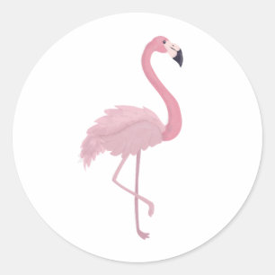Sticker Rond Flamant rose rose