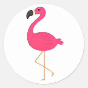 Sticker Rond Flamant rose rose