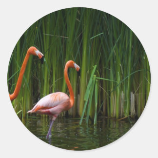 STICKER ROND FLAMANT ROSE ROSE
