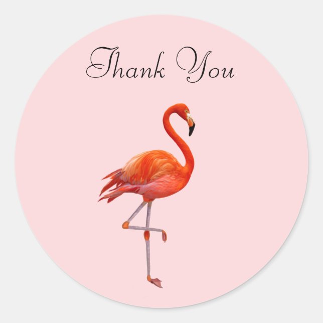 Sticker Rond Flamant rose rose sur Merci rose (Devant)
