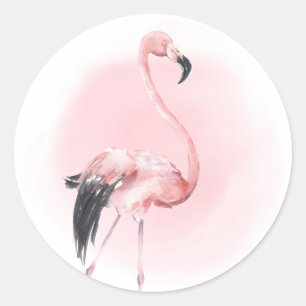 Sticker Rond Flamant rose rose tropical