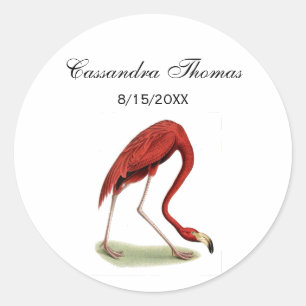Sticker Rond Flamant rose rose vintage #1
