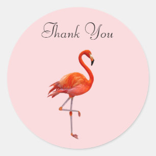 Sticker Rond Flamant rose sur Merci rose