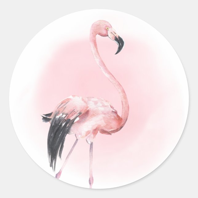 Sticker Rond Flamant Rose Tropical (Devant)