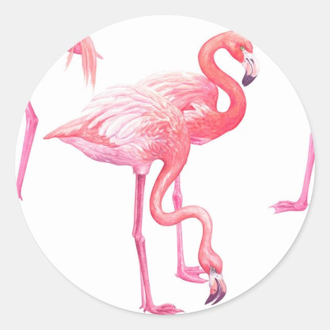 Sticker Rond Flamants roses (Devant)