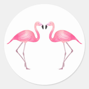 Sticker Rond Flamants roses rose tropical Mariage d'été
