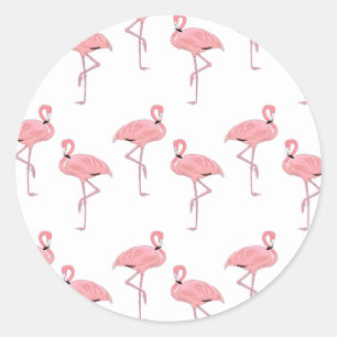 Sticker Rond Flamants roses roses Thème de plage côtière tropic