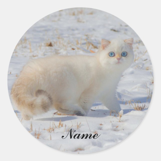 Sticker Rond Flamme Point Chat avec yeux bleus dans la neige (Devant)