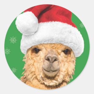 Sticker Rond Fleece Navidad Christmas Llama avec Santa Hat