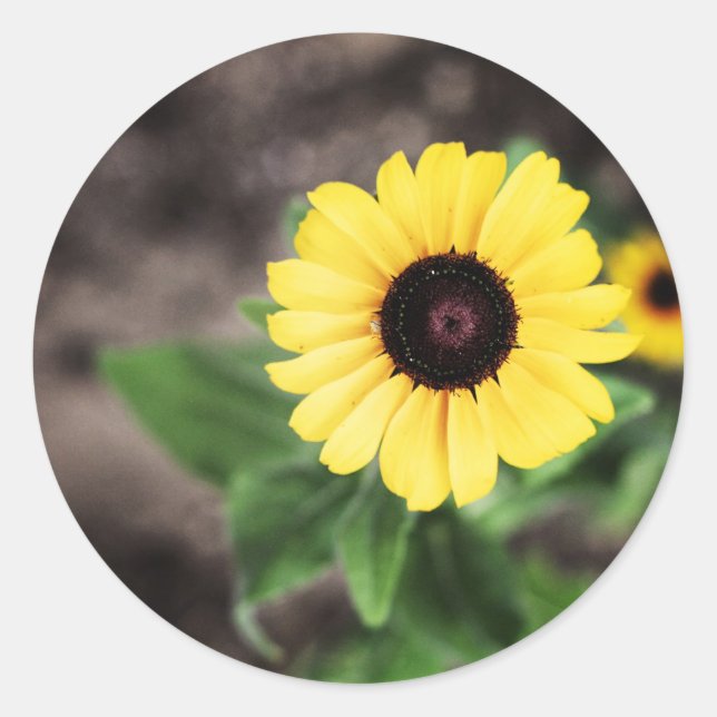 Sticker Rond Fleur 1 (Devant)