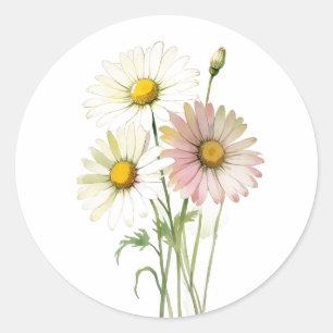 Sticker Rond Fleur Aquarelle Daisy Moderne Professionnelle