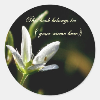 Sticker Rond Fleur blanche minuscule