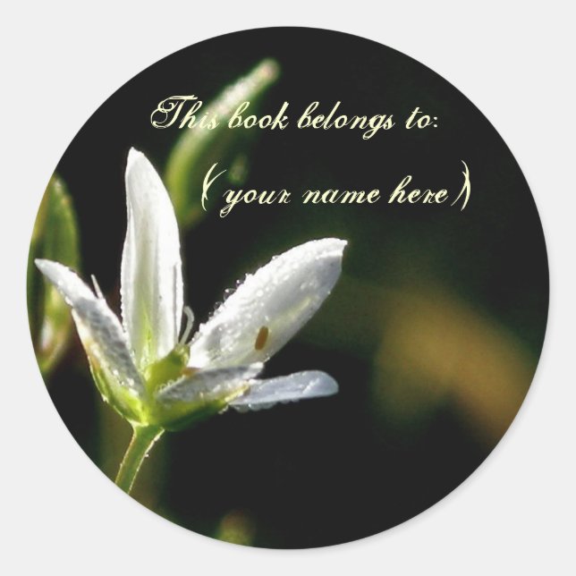 Sticker Rond Fleur blanche minuscule (Devant)