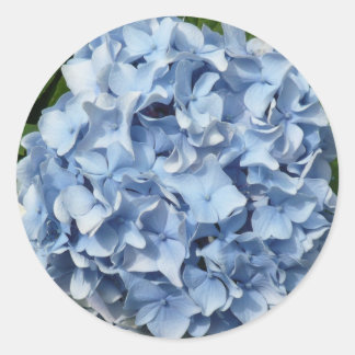 Sticker Rond Fleur bleue d'hortensia