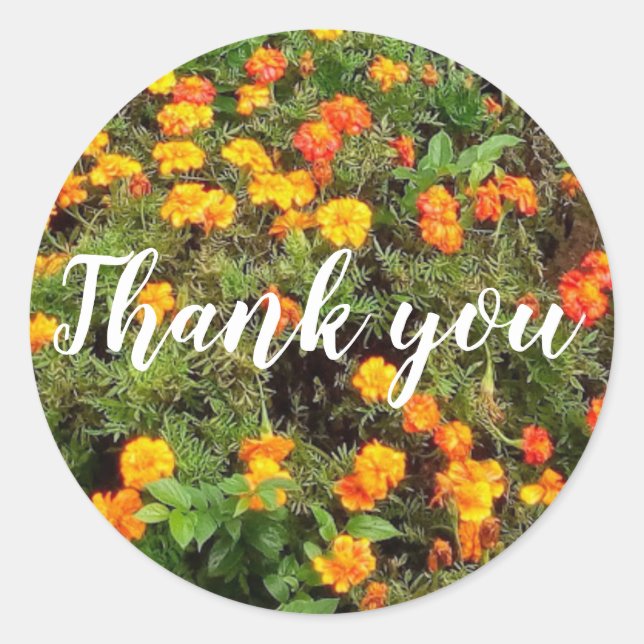 Sticker Rond Fleur botanique rouge orange merci (Devant)