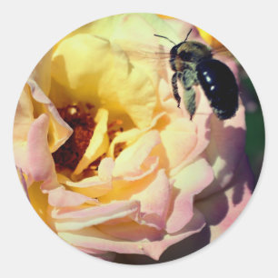 Sticker Rond Fleur D'Abeille rose Et Bumble