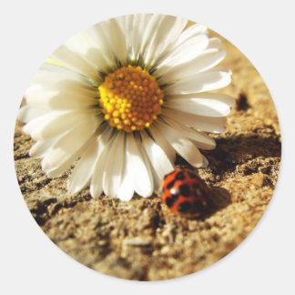 Sticker Rond Fleur de coccinelle