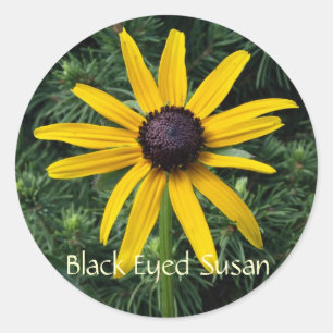 Sticker Rond Fleur de DM de Susan observée par noir